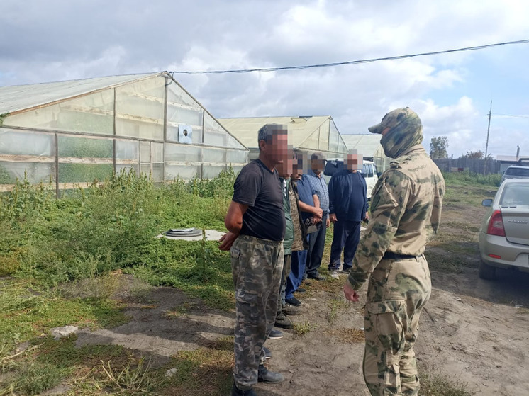 В Алтайском крае правоохранители обнаружили «в полях» восемь нелегальных мигрантов