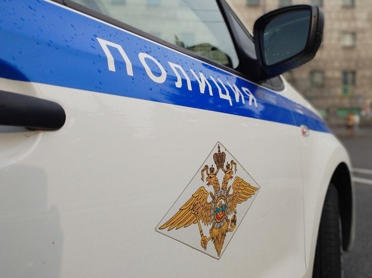 В Тосно пропала студентка академии милиции