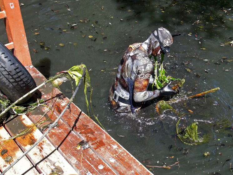 Эксперты рассказали, куда обращаться в случае загрязнения водоема