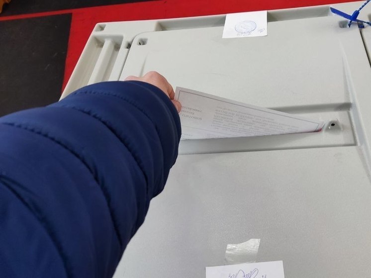 На выборах в Ленобласти 7-8 сентября прогнозируют явку в 25%