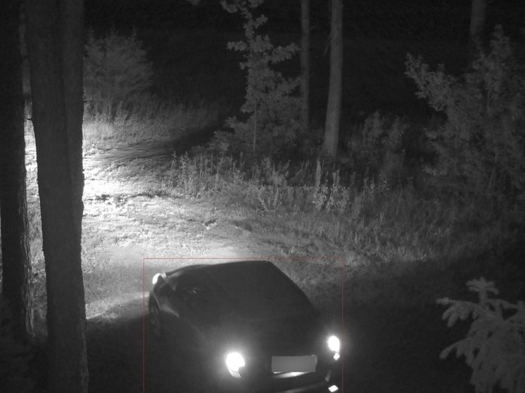 Фотоловушки фиксируют в лесах водителей-нарушителей порядка