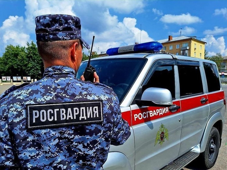 Подозреваемого в краже по горячим следам задержали росгвардейцы