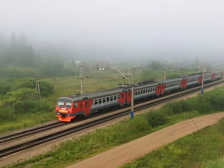 Под Лугой электричка сбила выбежавшего на пути лося