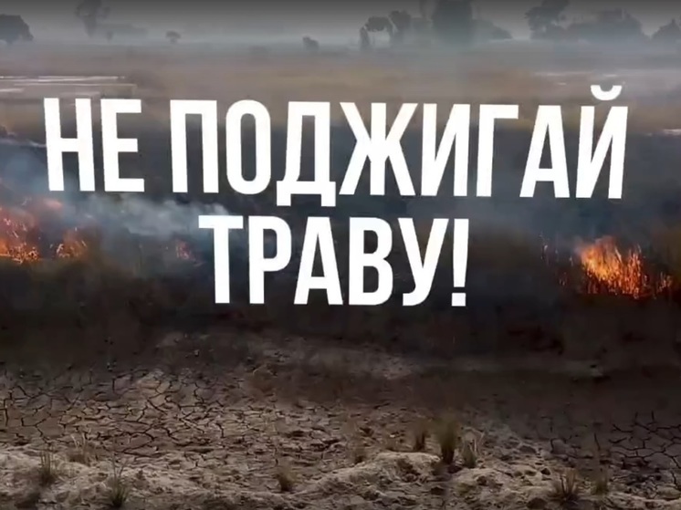 В Ярославской области введен особый противопожарный режим