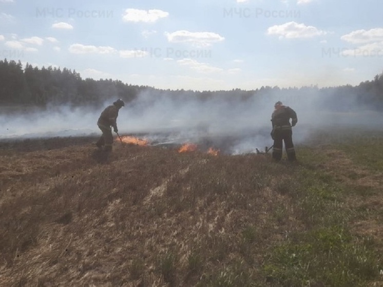 В Орловской области зафиксировали семь термоточек