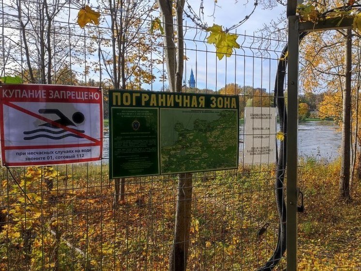 Границы любви не помеха — эстонец переплыл реку ради свидания и был задержан