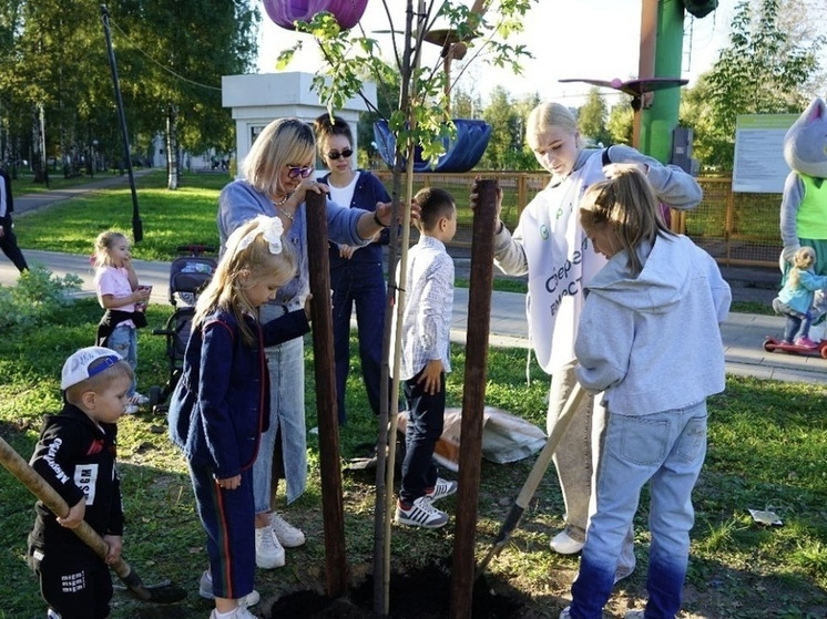 В парке «Юбилейный» в Ярославле высадили новые деревья