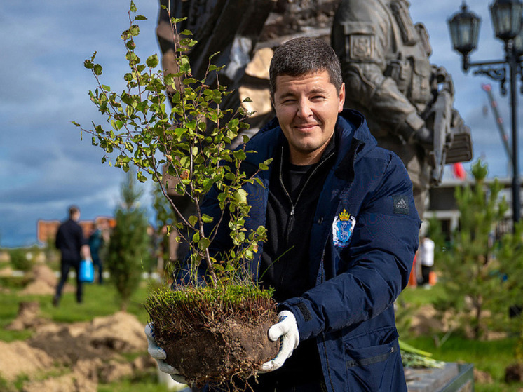 Подаренная губернатору школьницей из Пурпе береза будет расти в парке Победы Салехарда