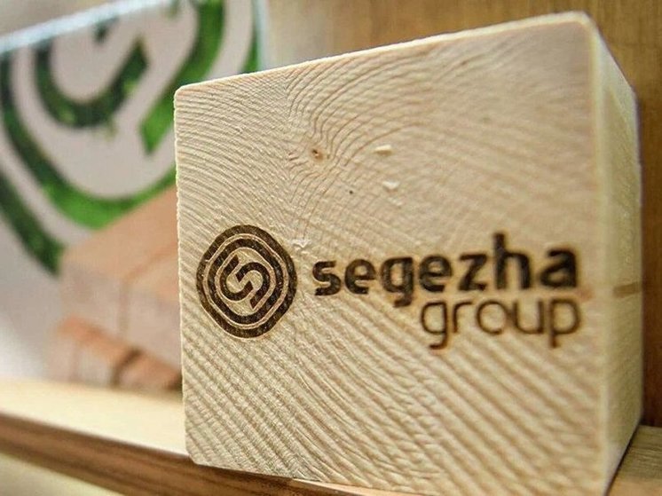 Segezha Group высоко оценивает потенциал торгово-экономического сотрудничества с Индией в лесопромышленном комплексе