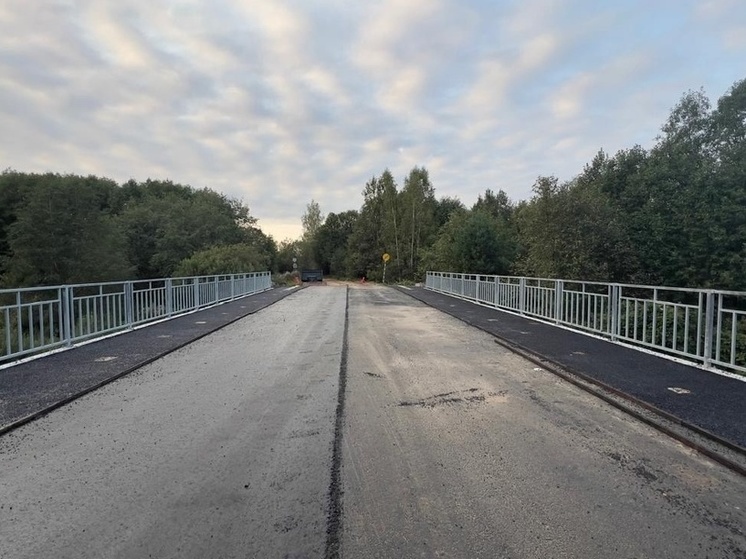 Ремонт моста через реку Ярынья в Крестецком районе завершится в октябре