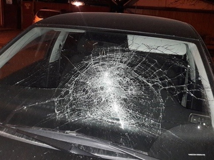 В Калмыкии задержали малолетнего вредителя