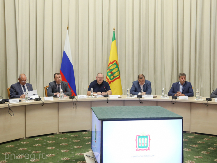 Правительство Пензенской области обсудило новые подходы к воспитательной работе в школах и вузах