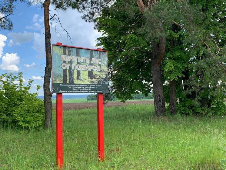 В Новгородской области значительно возросла вероятность лесных пожаров