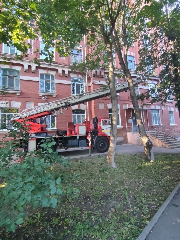 Чтобы спасти кота с дерева в Твери, сотрудникам МЧС пришлось за ним «поохотиться»