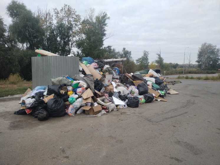 В Оренбурге жители элитного микрорайона жалуются на бардак на площадках для ТКО