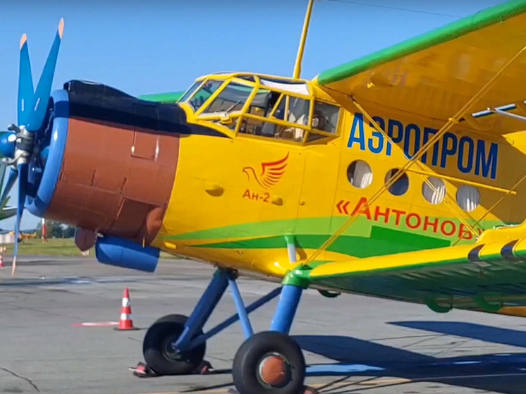 Авиарейсом из Омска до Усть-Ишима воспользовались 145 человек