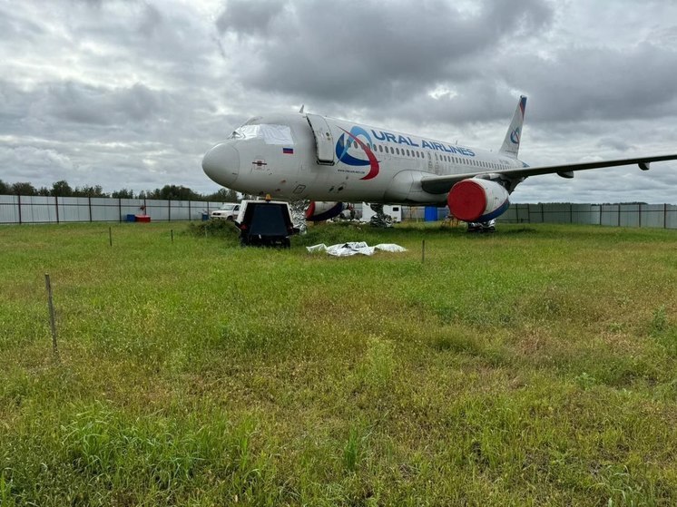 Севший в пшеничном поле самолёт рейса Сочи-Омск начали разбирать