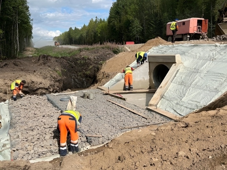 В Поморье завершаются работы на трассе Коноша – Няндома