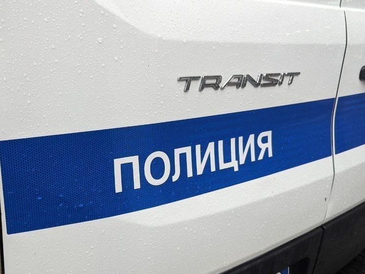 Костромские полицейские перехватили курьера с крупной суммой денег
