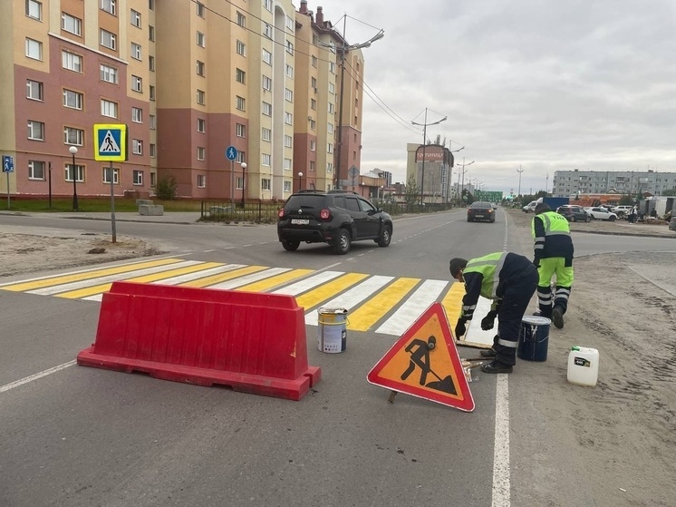 В Новом Уренгое еще одну «зебру» уложили на дорогу по просьбам пешеходов