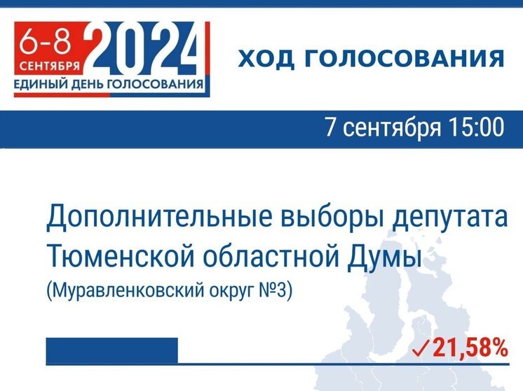 Явка на 15:00: избирком опубликовал данные по выборам депутатов на Ямале