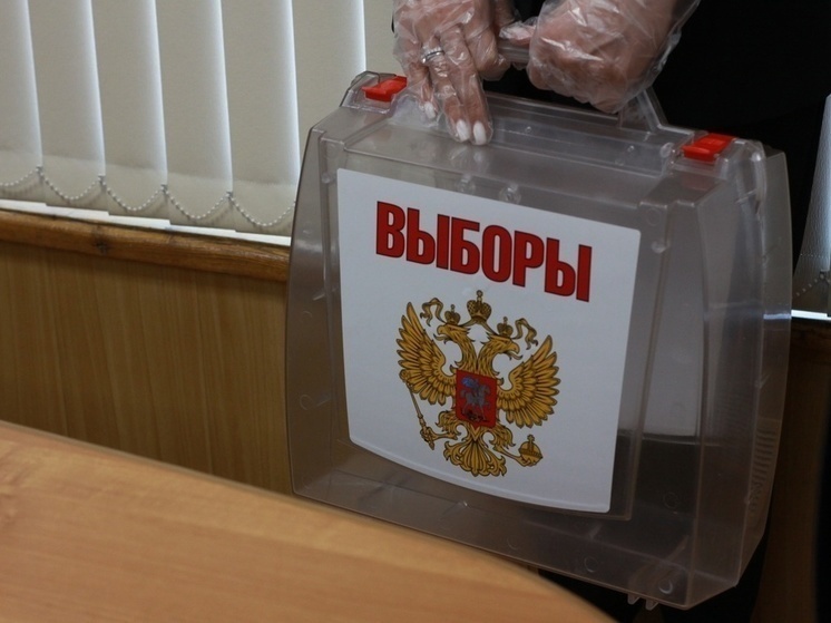 Явка избирателей в Тульской области по состоянию на 15.00 составила 30,67%