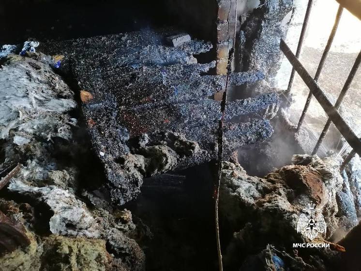 В Тверской области разгорелся пожар в водонапорной башне