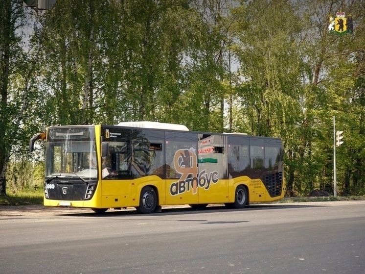 Ярославцы жалуются на работу автобуса № 62