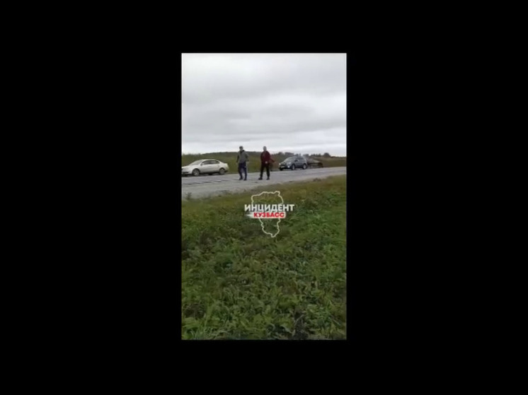 Автомобилист сбил косулю на кузбасской трассе