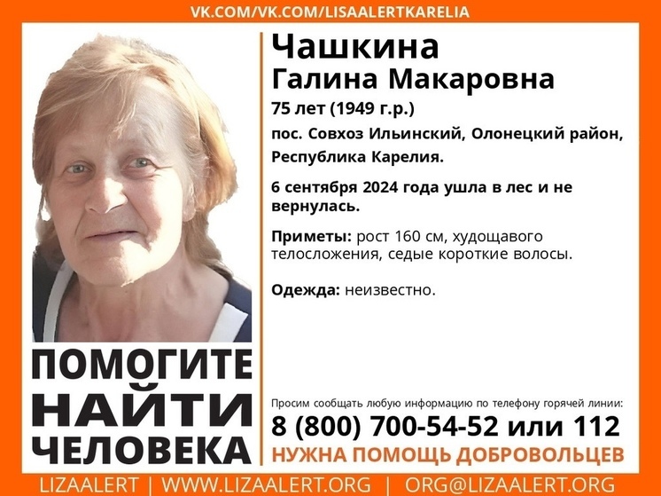75-летняя женщина ушла в лес и пропала в Олонецком районе