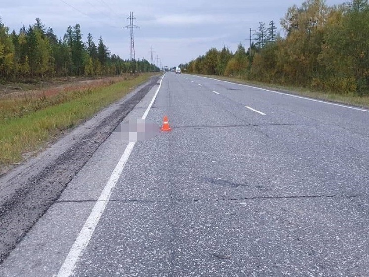 В Ноябрьске ищут сбившего пешехода автомобилиста