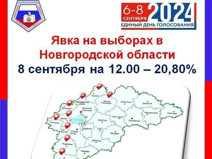 Явка новгородцев на выборы 8 сентября на 12:00 составила 20,80%