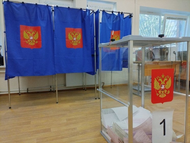 Избирательная комиссия Петербурга назвала процент явки на третий день выборов