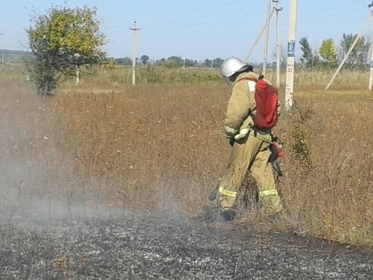 На месте падения БПЛА локализовали пожар под Воронежем