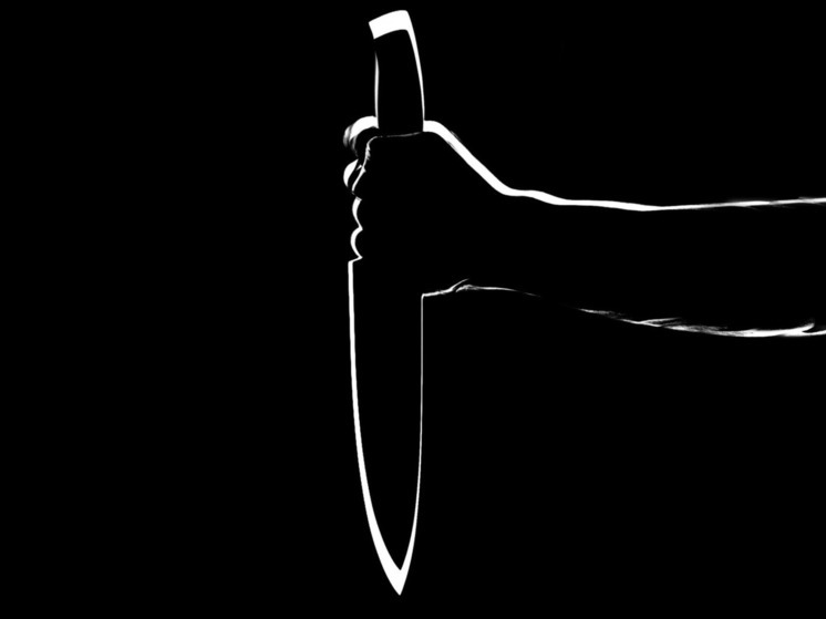 В Петербурге пьяный мужчина зарезал дочь, а потом бегал по дому с ножом