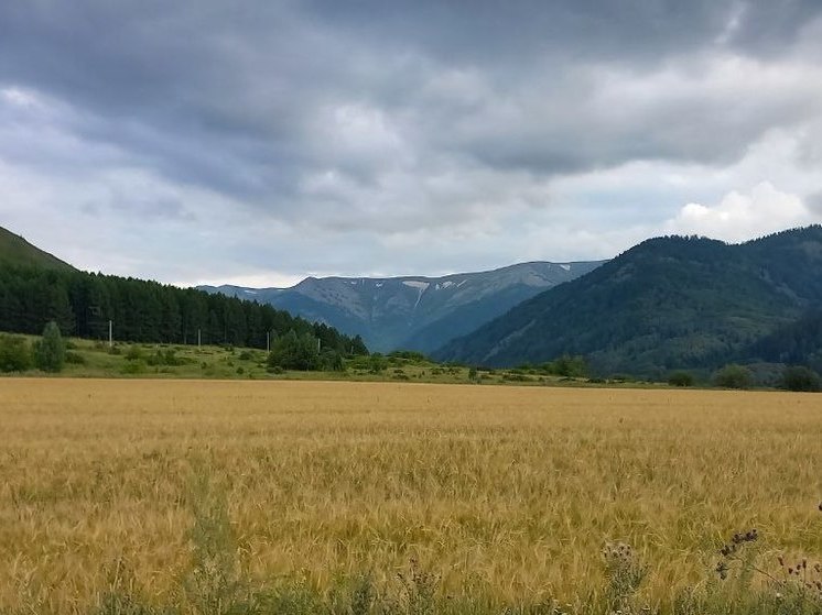 В Алтайском крае могут объявить режим ЧС из-за непрекращающихся дождей