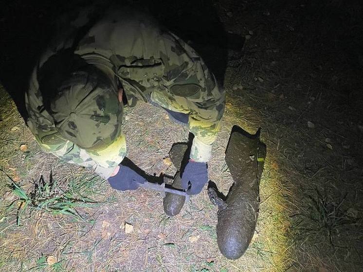 Боеприпасы времен ВОВ обнаружили в одной из рек Вологодской области