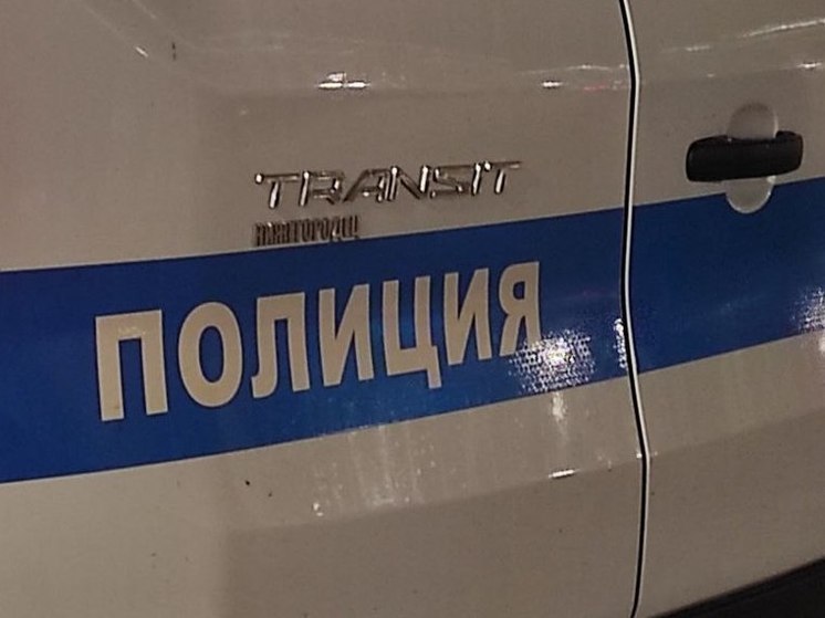 В Москве у театрального режиссера Энтина украли картины