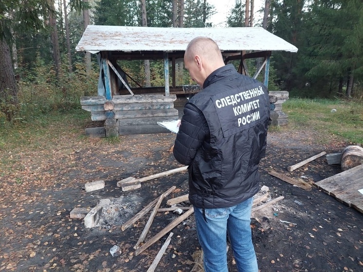 Два подростка из Бабушкинского округа подозреваются в нанесении смертельных травм мужчине