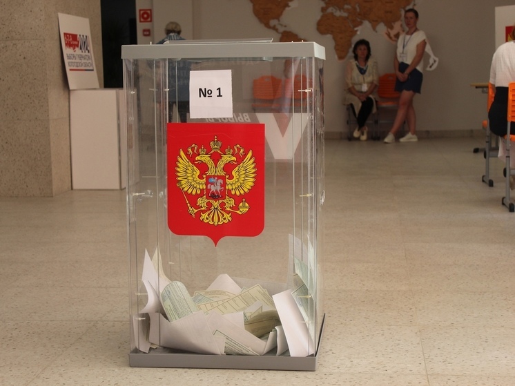 Явка избирателей на выборах губернатора Вологодской области составила 49,18%