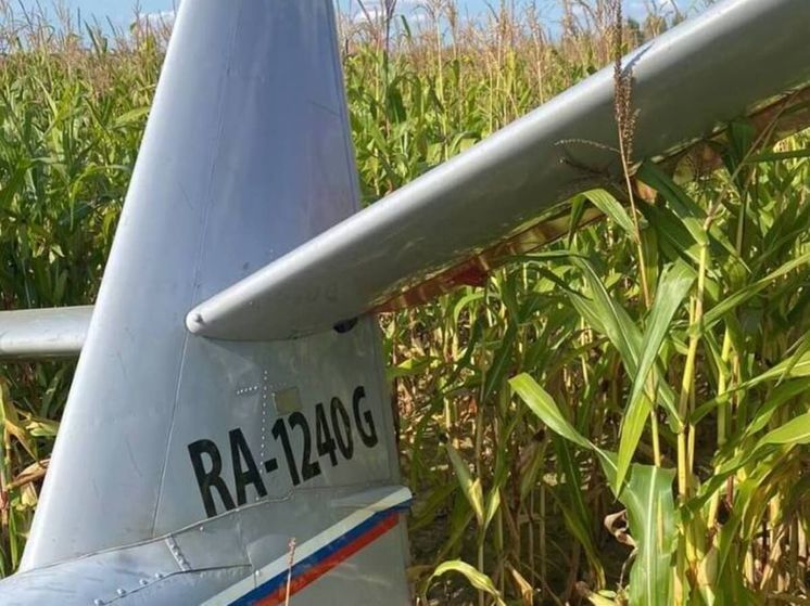 Разбившимся самолетом «Алекс-251» управлял опытный летчик