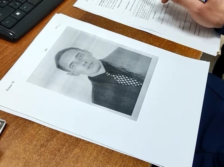Новые доказательства? Почему суд отложил рассмотрение дела Виталия Манишина