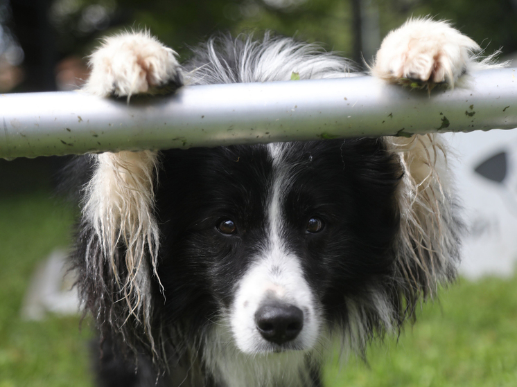 Мозговой штурм для миллионов