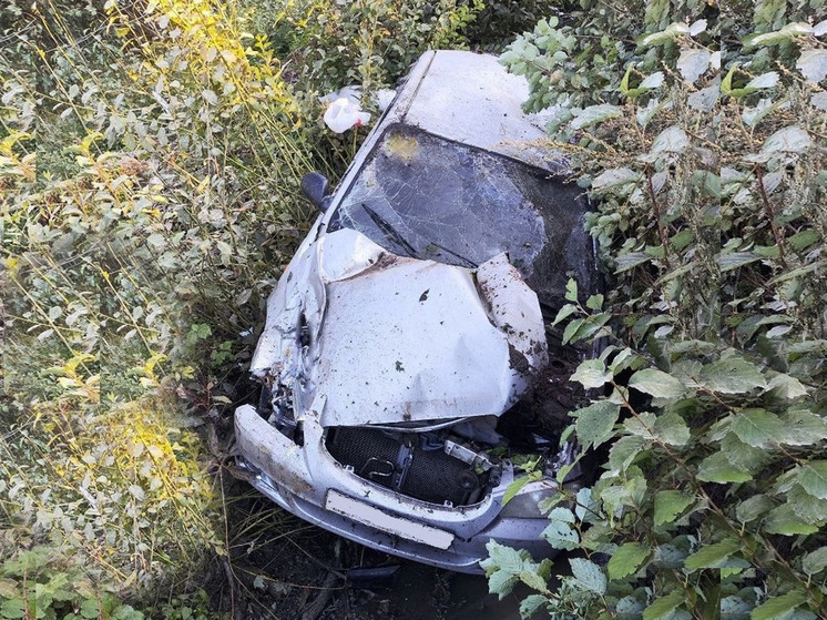 В Новгородском районе съехал в кювет легковой автомобиль, есть пострадавшие