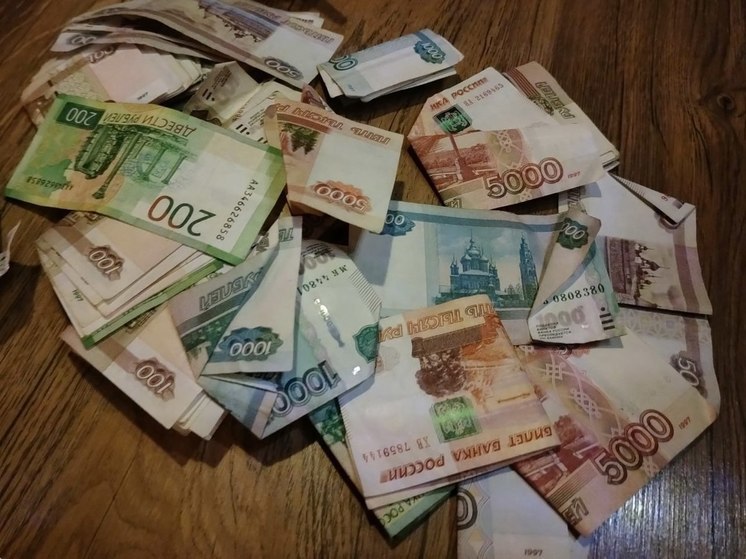 Директор мурманской фирмы скрыл 12 млн налоговых платежей