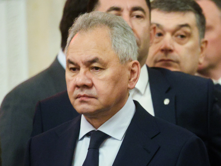 Шойгу: Запад не может забрать российские активы, так как понимает последствия