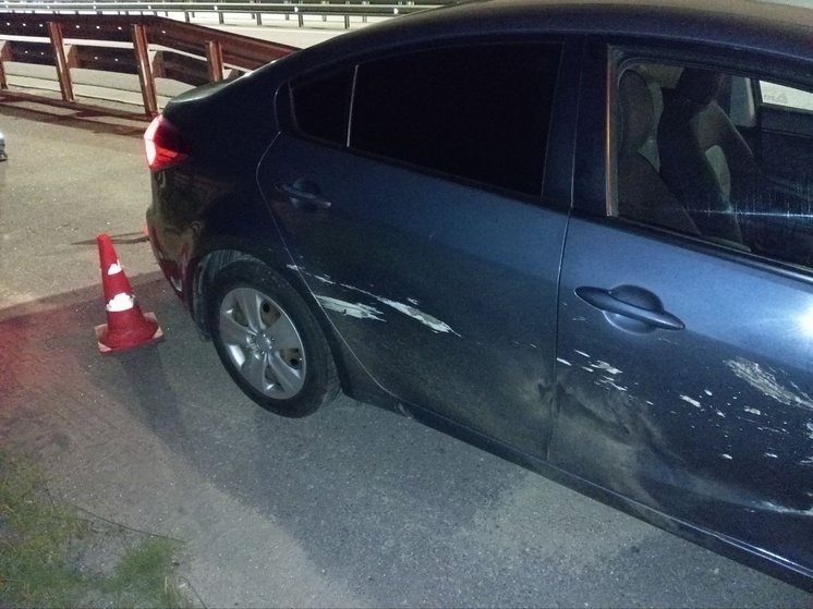 В Новгородской области под колесами легкового автомобиля погиб волк