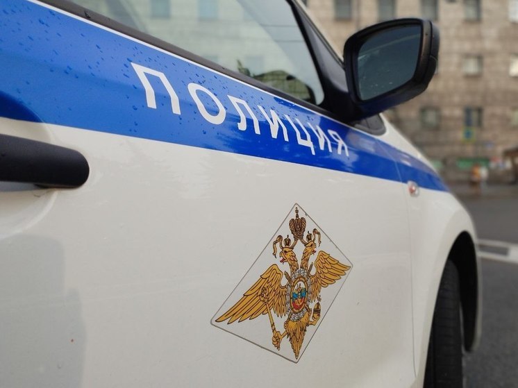 В Гатчинском районе возбудили уголовное дело после исчезновения 16-летнего подростка