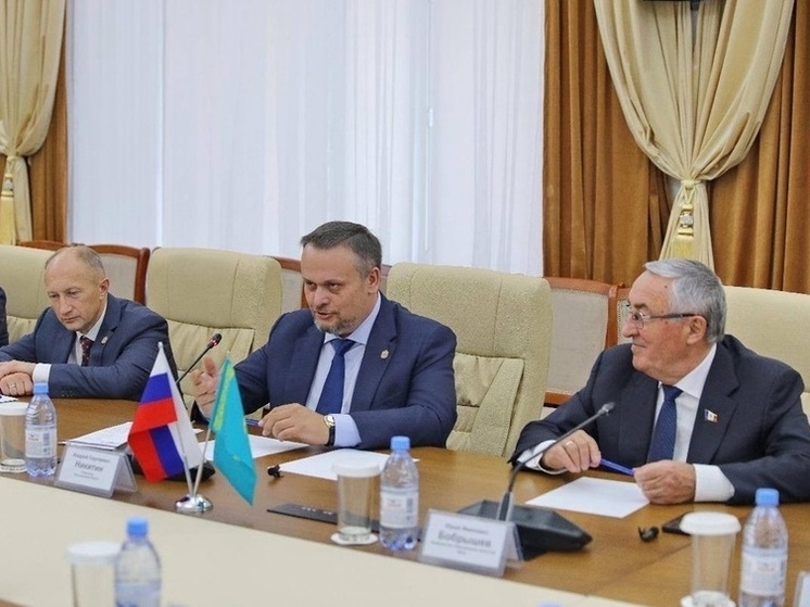 Губернатор Новгородской области встретился с акимом казахской области Улытау