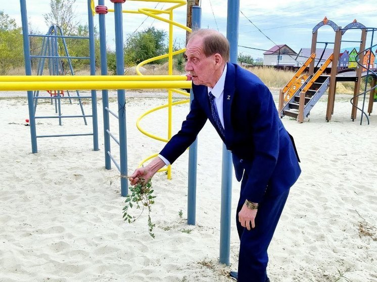 Временный глава Саратова Павел Сурков показал, как надо дергать мешающие кусты